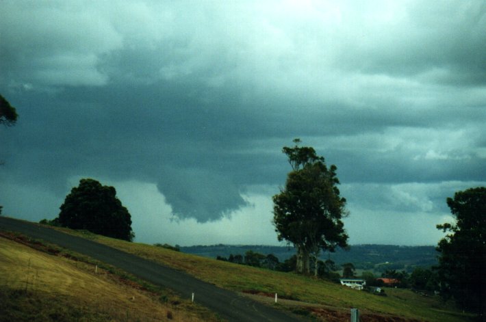 cumulonimbus thunderstorm_base : McLeans Ridges, NSW   17 October 2000