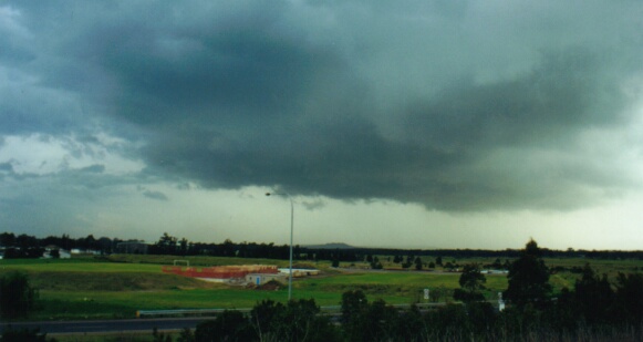 contributions received : Wollongong, NSW<BR>Photo by Mario Orazem   19 October 2000