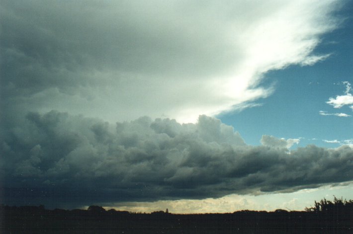 cumulonimbus thunderstorm_base : Meerschaum, NSW   25 October 2000