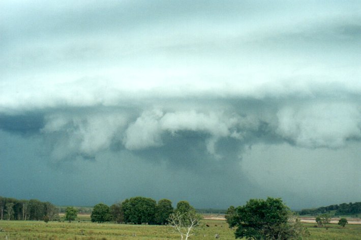 cumulonimbus thunderstorm_base : Meerschaum Vale, NSW   25 October 2000