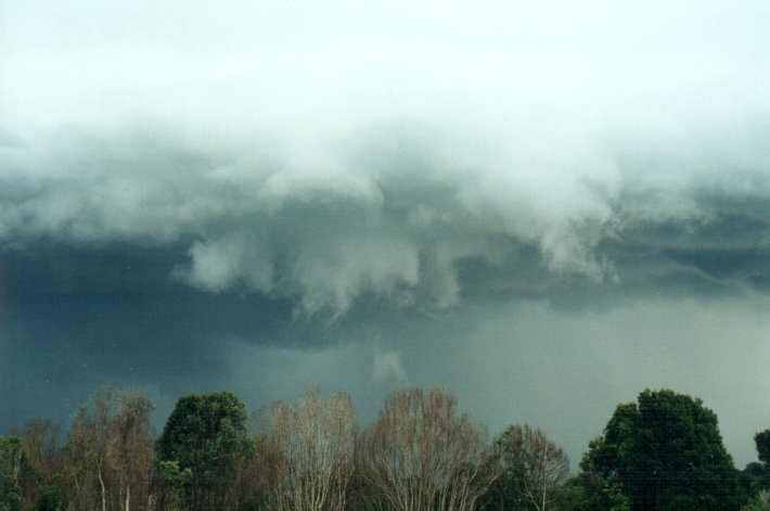 wallcloud thunderstorm_wall_cloud : Meerschaum, NSW   25 October 2000
