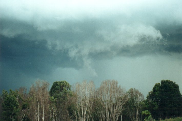wallcloud thunderstorm_wall_cloud : Meerschaum, NSW   25 October 2000