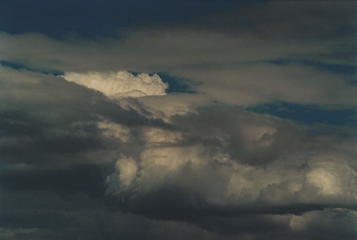 thunderstorm cumulonimbus_calvus : Schofields, NSW   26 October 2000
