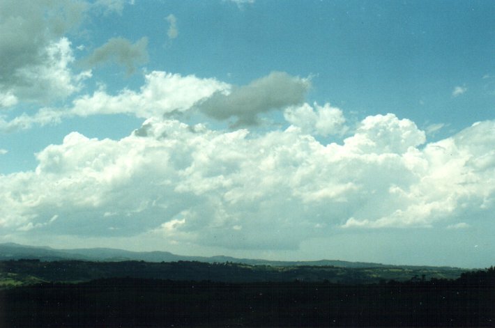 thunderstorm cumulonimbus_calvus : McLeans Ridges, NSW   26 October 2000