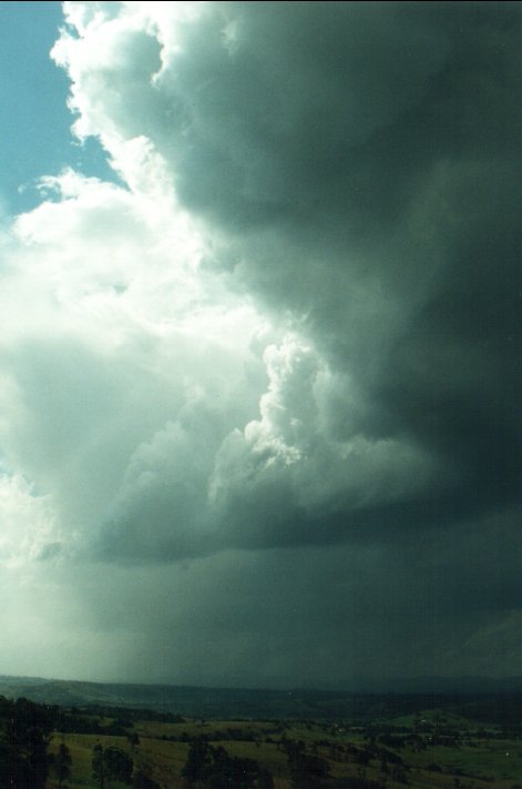 thunderstorm cumulonimbus_incus : McLeans Ridges, NSW   26 October 2000