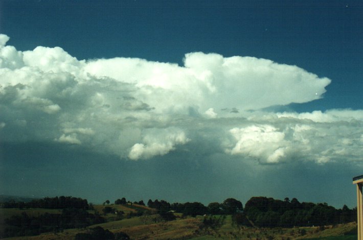 thunderstorm cumulonimbus_incus : McLeans Ridges, NSW   26 October 2000