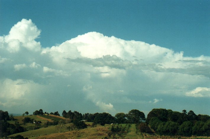 thunderstorm cumulonimbus_calvus : McLeans Ridges, NSW   26 October 2000