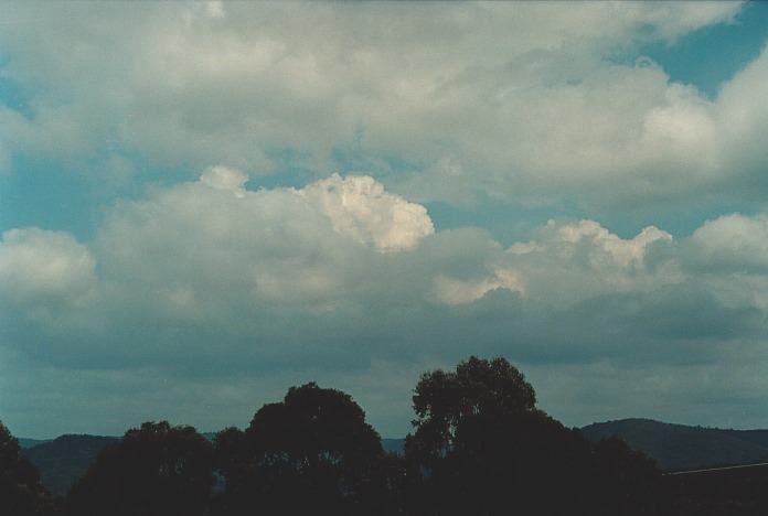 cumulus congestus : Colo Heights, NSW   3 November 2000