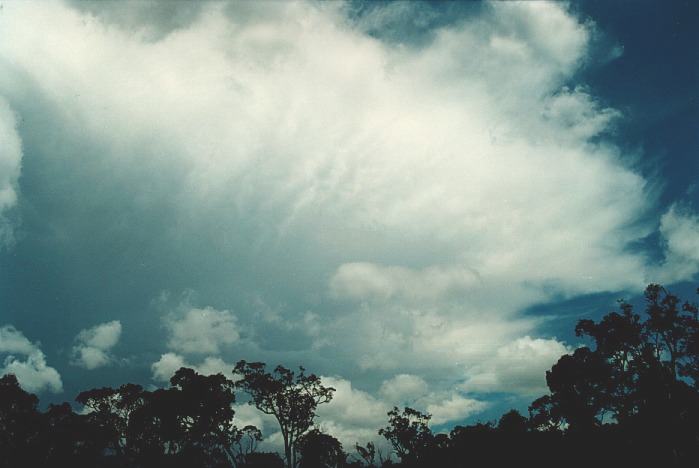 anvil thunderstorm_anvils : N of Colo Heights, NSW   3 November 2000