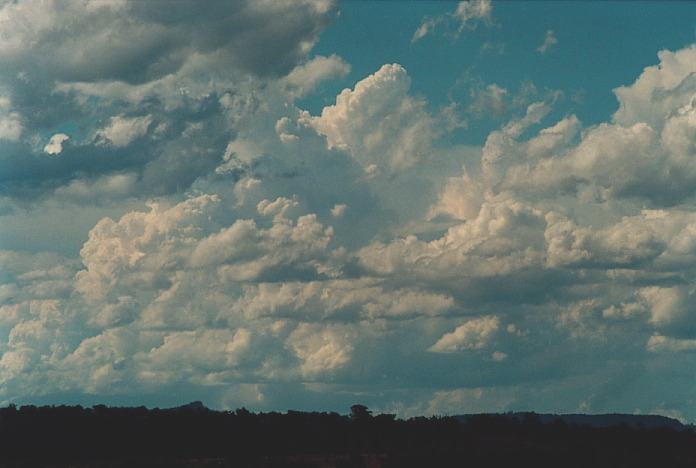 thunderstorm cumulonimbus_incus : Muswellbrook, NSW   3 November 2000