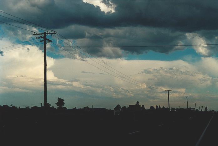 cumulus mediocris : Scone, NSW   3 November 2000