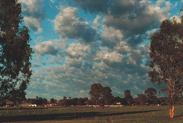 altocumulus castellanus : Tamworth, NSW   4 November 2000