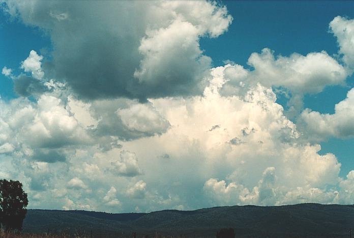 thunderstorm cumulonimbus_incus : Bingara, NSW   4 November 2000