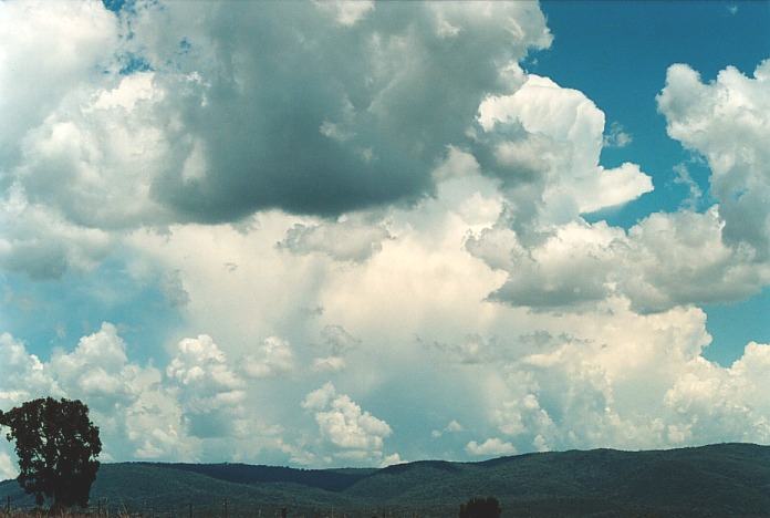 thunderstorm cumulonimbus_incus : Bingara, NSW   4 November 2000