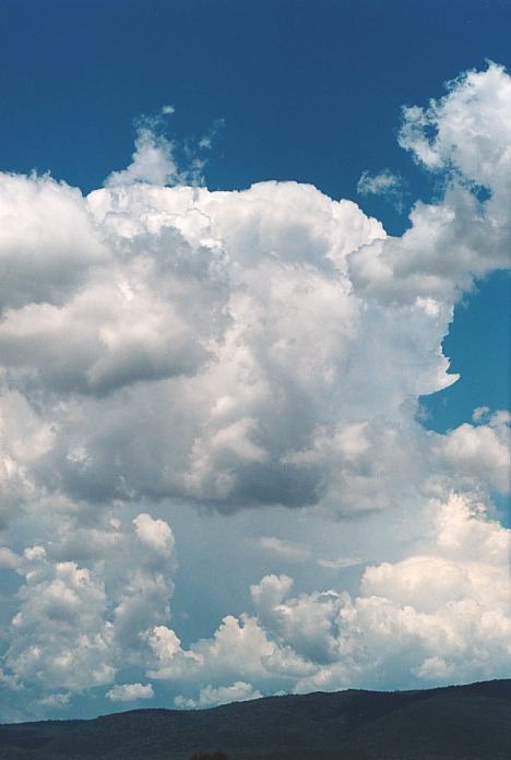 thunderstorm cumulonimbus_incus : Bingara, NSW   4 November 2000