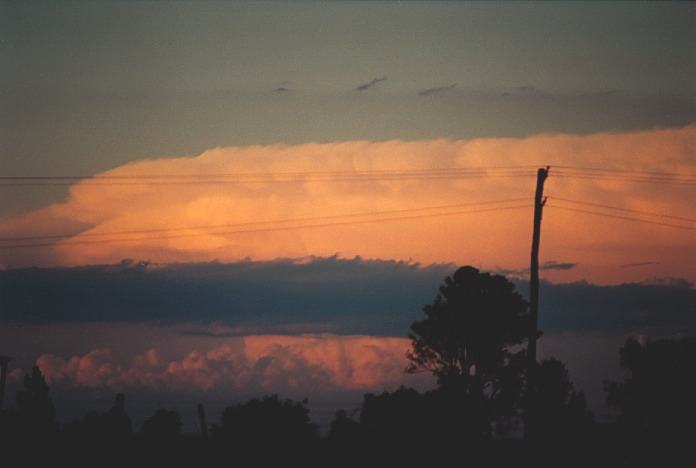 thunderstorm cumulonimbus_incus : Grafton, NSW   4 November 2000