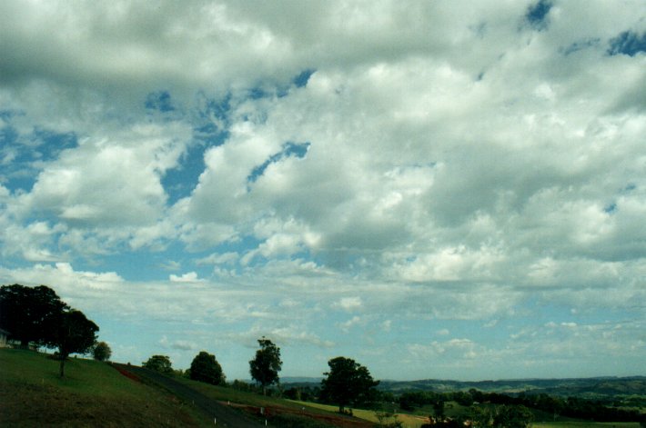 altocumulus castellanus : McLeans Ridges, NSW   4 November 2000