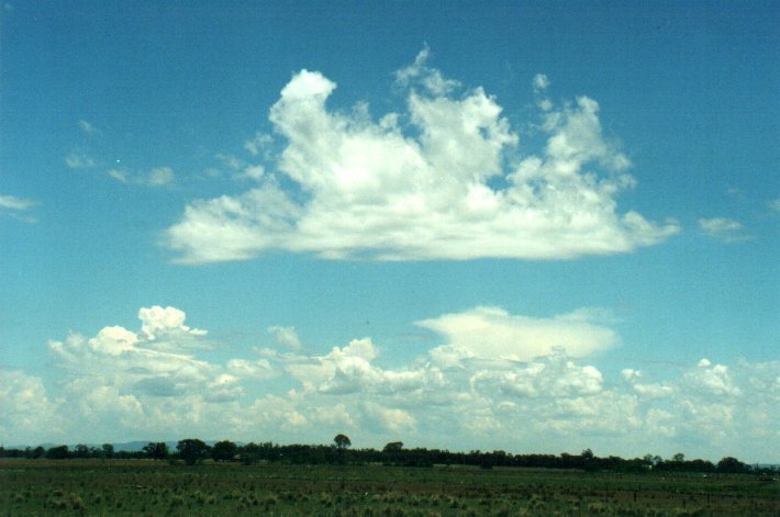 altocumulus castellanus : E of Casino, NSW   4 November 2000