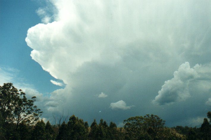 anvil thunderstorm_anvils : Hogarth Range, NSW   4 November 2000