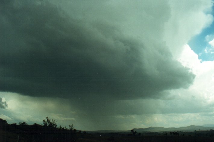 cumulonimbus thunderstorm_base : Richmond Range, NSW   4 November 2000