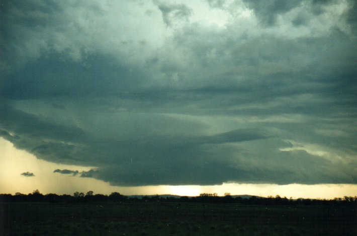 cumulonimbus thunderstorm_base : E of Casino, NSW   4 November 2000