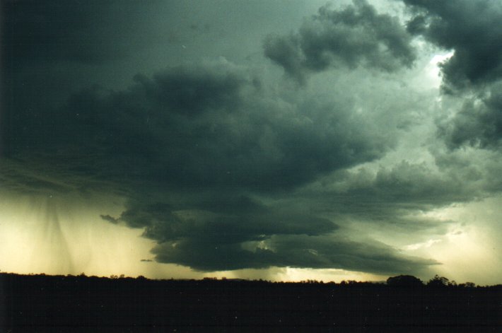 raincascade precipitation_cascade : E of Casino, NSW   4 November 2000