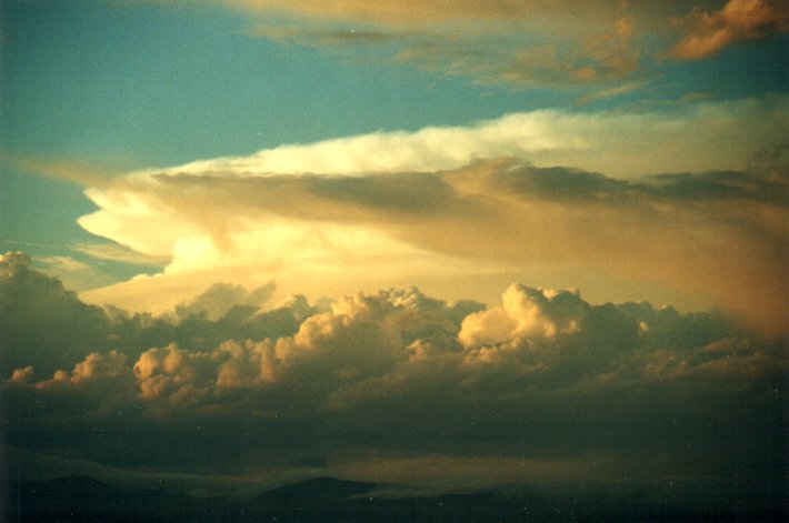 favourites michael_bath : McLeans Ridges, NSW   4 November 2000