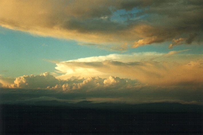 cumulus congestus : McLeans Ridges, NSW   4 November 2000