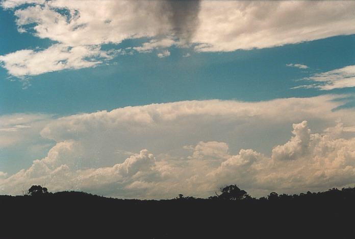 cumulus congestus : Coffs Harbour, NSW   5 November 2000