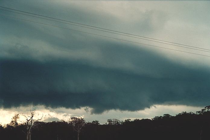 cumulonimbus thunderstorm_base : Corindi, NSW   5 November 2000