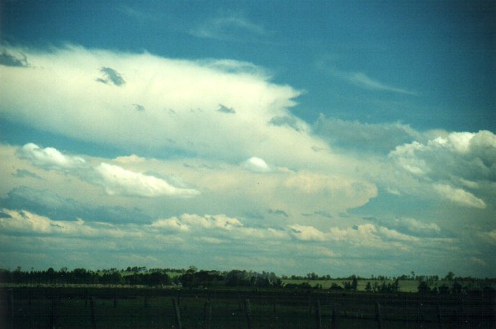 thunderstorm cumulonimbus_incus : N of Casino, NSW   5 November 2000