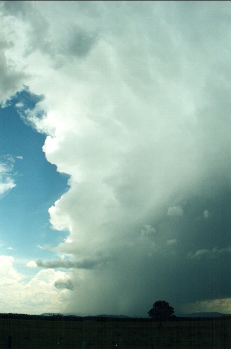 updraft thunderstorm_updrafts : N of Casino, NSW   5 November 2000