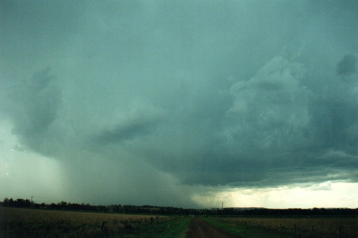 cumulonimbus thunderstorm_base : S of Kyogle, NSW   5 November 2000