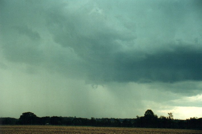 cumulonimbus thunderstorm_base : S of Kyogle, NSW   5 November 2000