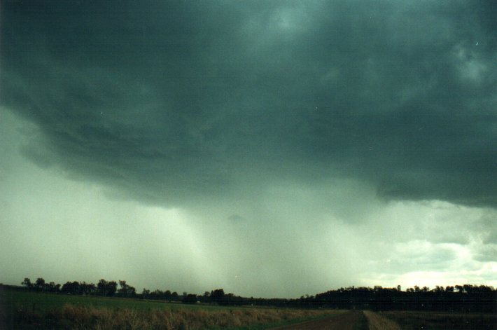 raincascade precipitation_cascade : S of Kyogle, NSW   5 November 2000