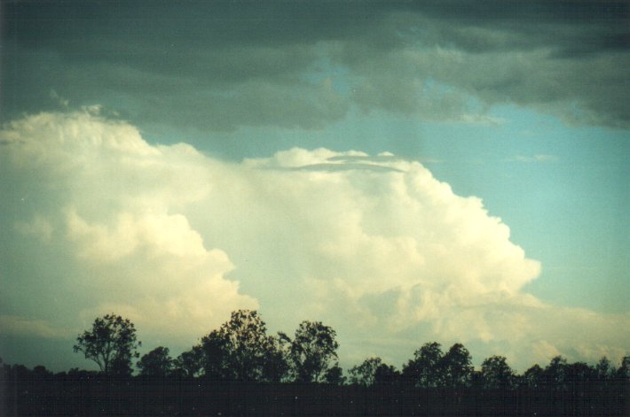 cumulonimbus supercell_thunderstorm : N of Casino, NSW   5 November 2000