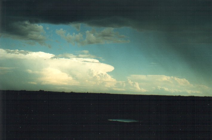 cumulonimbus supercell_thunderstorm : N of Casino, NSW   5 November 2000