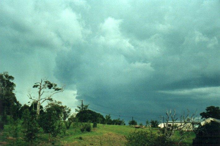 cumulonimbus thunderstorm_base : McLeans Ridges, NSW   6 November 2000