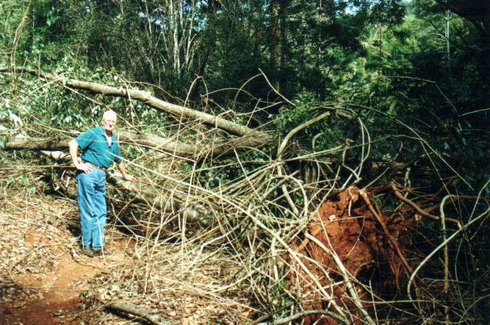 disasters storm_damage : Mount Warning, NSW   11 November 2000