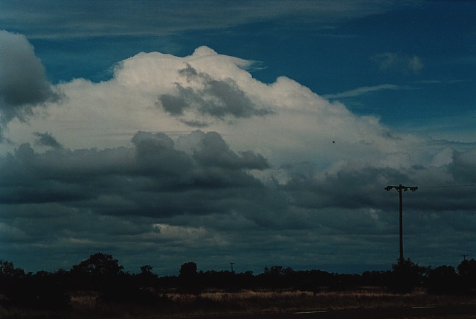 thunderstorm cumulonimbus_calvus : Bourke, NSW   19 November 2000