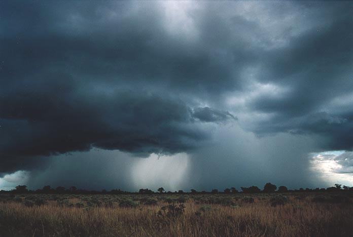 cumulonimbus thunderstorm_base : Bourke, NSW   19 November 2000