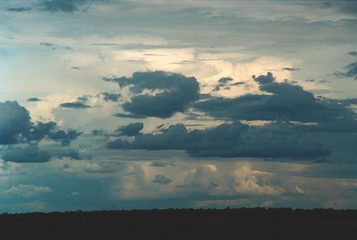 cumulus mediocris : Bourke, NSW   19 November 2000
