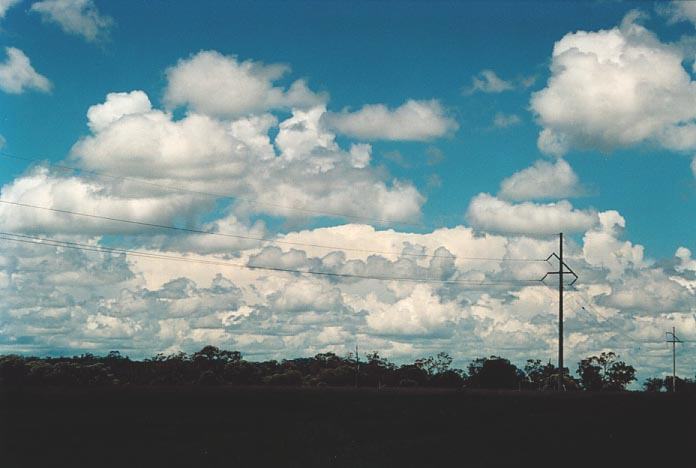 thunderstorm cumulonimbus_incus : 50km W of Mitchell, Qld   20 November 2000