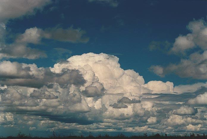 thunderstorm cumulonimbus_calvus : W of Roma, Qld   20 November 2000