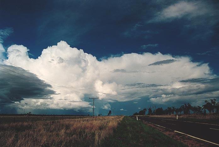 cumulonimbus supercell_thunderstorm : E of Roma, Qld   20 November 2000