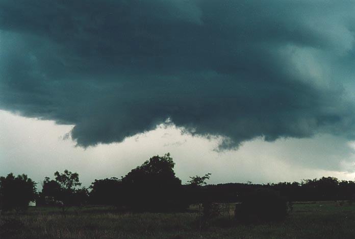wallcloud thunderstorm_wall_cloud : Banana, Qld   21 November 2000