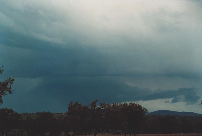 cumulonimbus thunderstorm_base : 40km N of Banana, Qld   21 November 2000