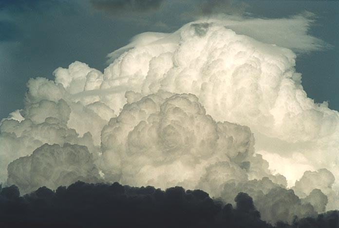 pileus pileus_cap_cloud : N of Banana, Qld   21 November 2000