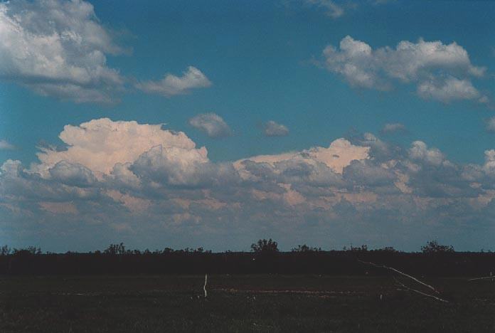 thunderstorm cumulonimbus_incus : E of Yelarbon, Qld   27 November 2000