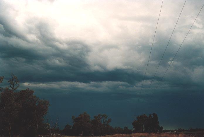 cumulonimbus thunderstorm_base : S of Millmerran, Qld   27 November 2000